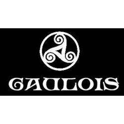 détails tee-shirt noir manches longues. symbole trisquel celtique gaulois