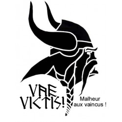 Détail t-shirt Tête de Gaulois de Profil  VAE VICTIS ! malheur aux vaincus !