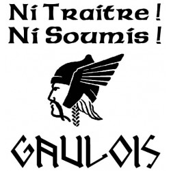 détails du tee-shirt blanc manches longues grande tête de Gaulois. Mention "ni traitre, ni soumis". gaulois