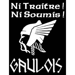 détails t-shirt noir manches longues grande tête de Gaulois. Mention "ni traitre, ni soumis". gaulois