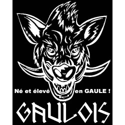 détails t-shirt noir manches longues sanglier Gaulois. Mention "né et élevé en Gaule".