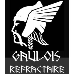Tee-shirt Gaulois Réfractaire Marque Autochtone. Vue du motif en zoom